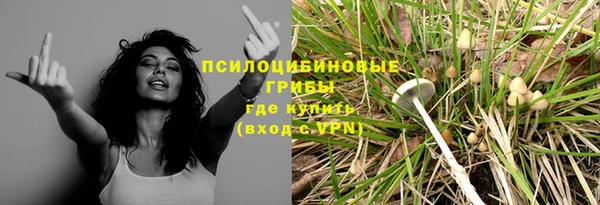spice Алексеевка