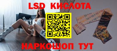 прущие грибы Моздок