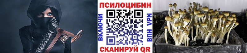 Псилоцибиновые грибы Cubensis  Октябрьский 