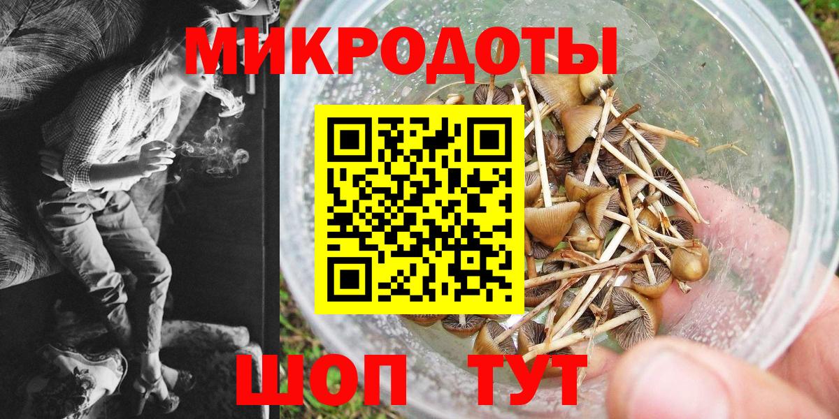 Галлюциногенные грибы ЛСД Октябрьский