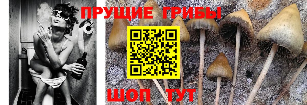 Галлюциногенные грибы Cubensis  Псилоцибиновые грибы Magic Shrooms  Октябрьский  Вход с VPN 