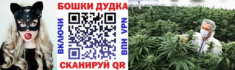 Марихуана Amnesia  Октябрьский 